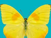 Classifiche: giugno 2014