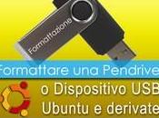 Ubuntu formattare chiavette dischi