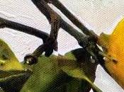 ROBERTO DONATELLI espone MAIUSCOLE Mediterraneo POSITANO