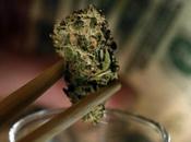 Droghe, cresce ricreativo. Affari miliardi.“Rischio sostanze sintetiche”