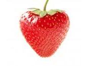 Succo Fragola