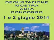 ARTE VINO giugno 2014, Badia Passignano