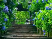 Ching post Berenice Fine Dipendenza Interiore Considerazioni