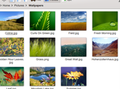 Guida alla scoperta Dolphin, file manager focalizzato sulla usabilità, predefinito dell'attuale versione KDE: gestione degli archivi.