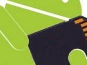 Google potrebbe autorizzare nuovamente permessi scrittura sulle microSD Android
