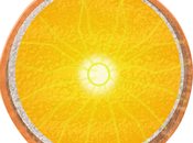 fetta arancia Inkscape