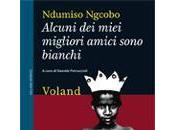 Ndumiso Ngcobo /"Alcuni miei migliori amici sono bianchi"/ libro week-end