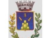 Educazione rispetto Consiglio Comunale