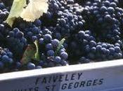 Nuits Saint Georges Village Lavieres, Faivelay 2005