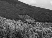 Guido Carocci, Valdarno, Pistojese Lucchese