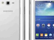 Manuale Samsung Galaxy Grand Duos SM-G7102 Libretto istruzioni