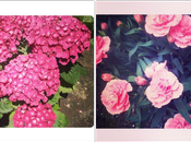 #Insta-Post