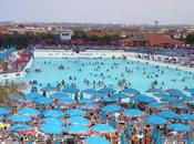 Ucciso socio Magic World