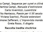 “Piccole estensioni” vince Premio Montano 2014 sezione Raccolta inedita
