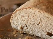 primo pane pasta madre first sourdough bread