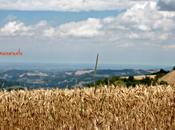 recuperare rapporto figlio l’amore colline