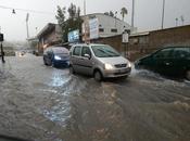 Pozzuoli. Emergenza ambientale