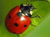 Prendi l'attimo della felicità