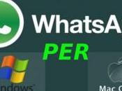 Come Installare Whatsapp Windows
