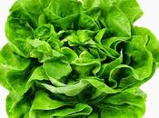 Lattuga Varie