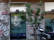 Roma Schifo ancora sulla stampa internazionale. L'importante Agence France Press contattati parlare graffiti. seguito tanti articoli giro, addirittura Nouvel Observateur
