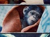 Apes Revolution pianeta delle scimmie. reboot intelligente