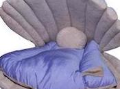 Cuccia Conchiglia