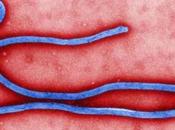 Ebola: Africa l’epidemia continua. l’Italia rischio