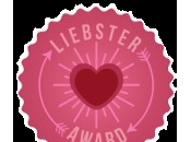 Liebster Blog Award... again!