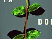 Classifiche: agosto 2014