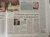 Xylella fastidiosa subspecie pauca: l'intervento presidente Consiglio dottori agronomi forestali della provincia Lecce Quotidiano agosto 2014