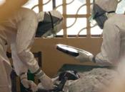Ebola, Zaia: “Situazione sotto controllo, dignità migranti calpestata”
