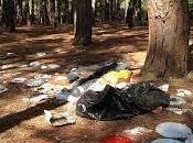 Pineta Cataldo invasa puzza nauseante