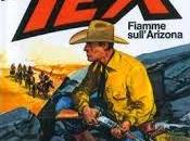 Fiamme sull'arizona
