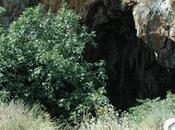 Palermo Visita guidata alla Grotta della Molara