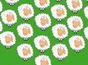 Considerazione Flash