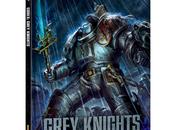 D&amp;R Cavalieri Grigi Q&amp;A Grey Knights
