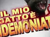 gatto indemoniato: nuovo programma cool-trash Real Time