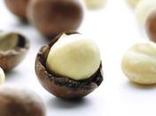 Cosa sapere delle benefiche noci macadamia