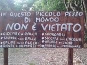 FINALMENTE ANCHE ITALIA Ecco l’asilo bosco +Foto