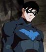 vicina ordinare pilot Teenager Titans Nightwing