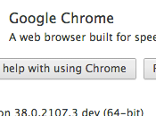 Google Chrome sarà soltanto