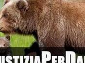 Daniza classifiche dell'indignazione