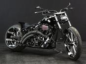 Harley Twin Softail "Mother Lake" Land