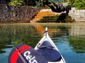 paddle more fun!