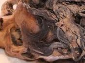 Extensions...all'egiziana