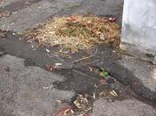 Stanno arrivando piogge città allagherà irrimediabilmente. motivo queste foto