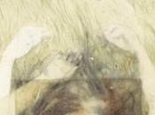 ricerca tempo speciale