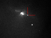 Cavar sangue dalle stelle