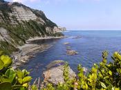 Spiagge marchigiane